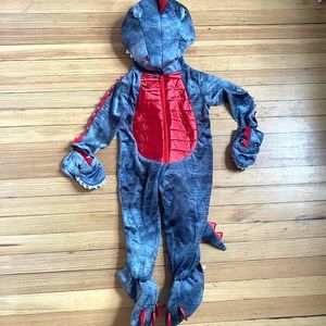 Kids Dinosaur Costume - Gray and Red